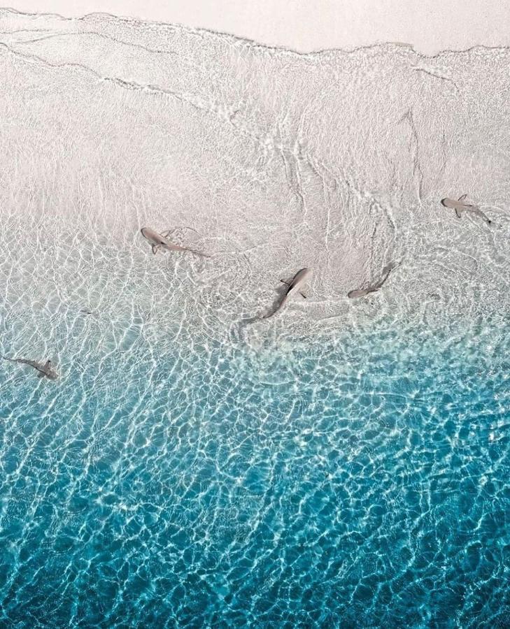 Paradise Retreat, Maafushi Exteriér fotografie